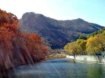 爱上海：Visitors can experience the light show while
