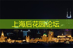 爱上海龙凤419：上海茶庄的文化交流与合作思想