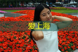 上海养生网：在上海参与创意市集活动